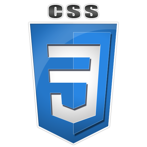 CSS Logo